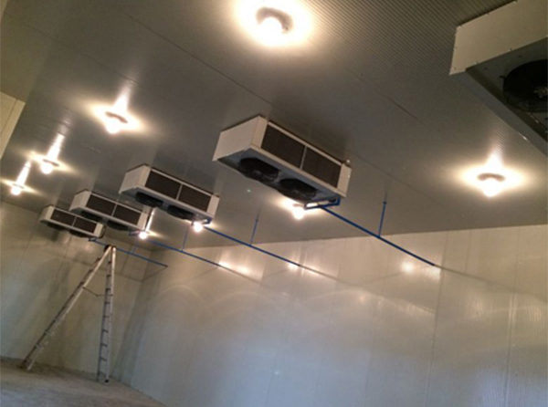 溫州冷庫廠家 溫州冷庫廠家